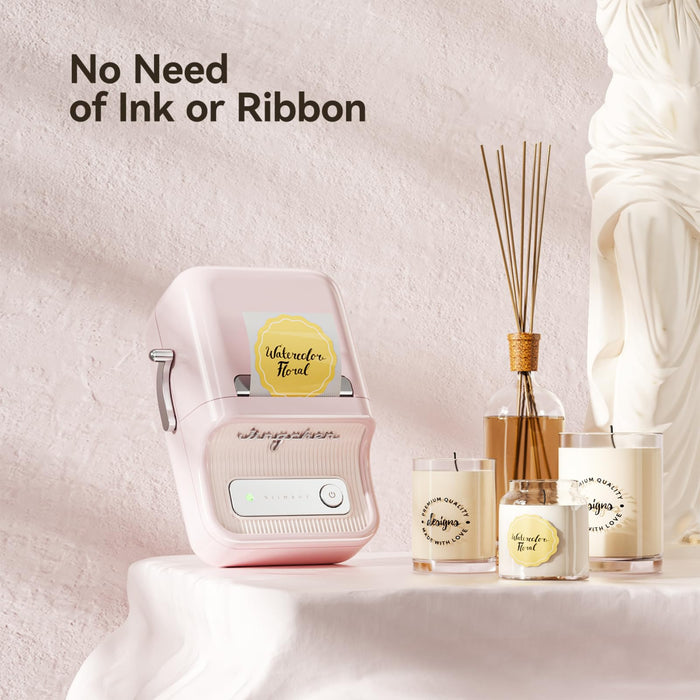 NIIMBOT B21 Label Printer