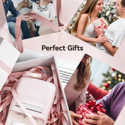 NIIMBOT B21 Label Printer